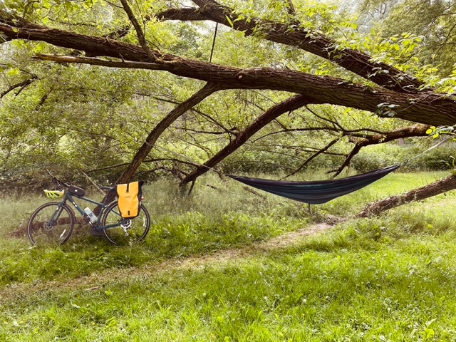 My bike next to a hammock strung up on a fallen tree at a park.